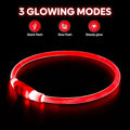 Glow In The Dark Collar - Keep your Pet Safe and Seen After Dark