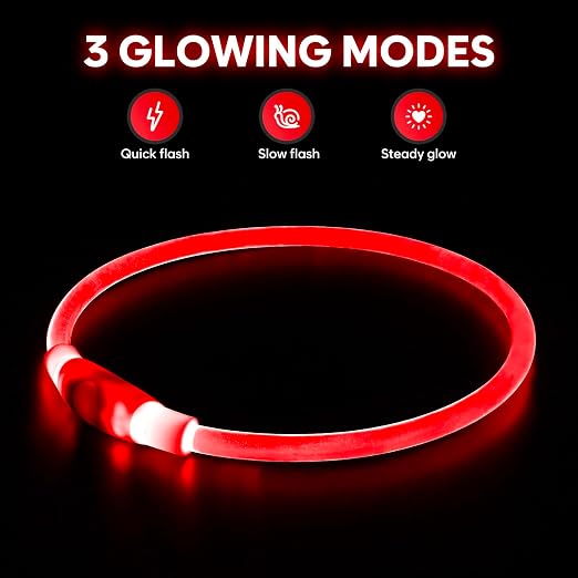 Glow In The Dark Collar - Keep your Pet Safe and Seen After Dark