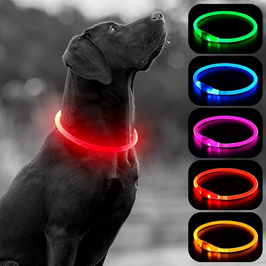 Glow In The Dark Collar - Keep your Pet Safe and Seen After Dark
